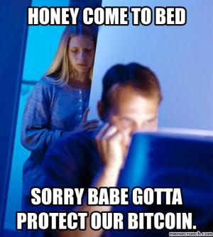 Honey come to bed

Sorry babe gotta protect our bitcoin