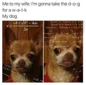 Me to my wife: I'm gonna take the d-o-g for a w-a-l-k

My dog