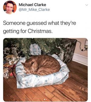 Someone guessed what they're getting for Christmas.