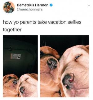 How yo patents take vacation selfies together