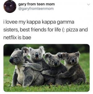 I lovee my kappa kappa gamma sisters, best friends for life (: pizza and Netflix is bae