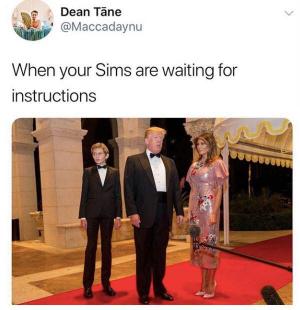 When your Sims are waiting for instructions