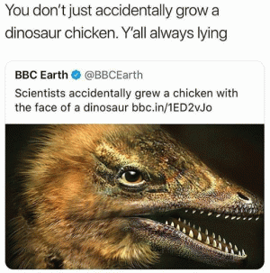 You don't just accidentally grow a dinosaur chicken. Y'all always lying