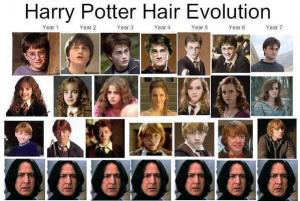 Harry Potter Evolution