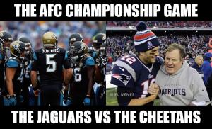 The AFC championship game

The Jaguars vs the Cheetahs 