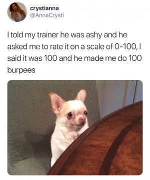 I told my trainer he was ashy and he asked me to rate it on a scale of 0-100, I said it was 100 and he made me do 100 burpees