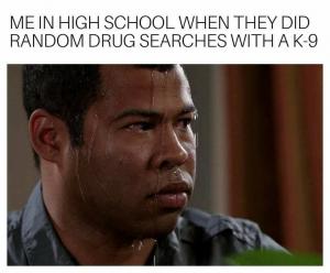 Me in high school when they did random drug searches with a K-9