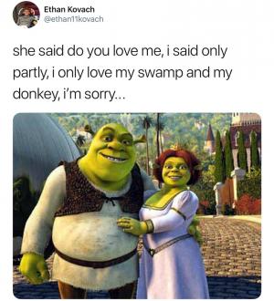 She said do you love me, I said only partly, I only love my swamp and my donkey, I'm sorry