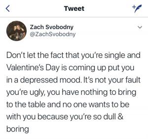 Don;t let the fact that you're single and Valentine's Day is coming up put you in a depressed mood. It's not your fault you;re ugly, you have nothing to being to the table and no one wants to b with you because you're so dull & boring
