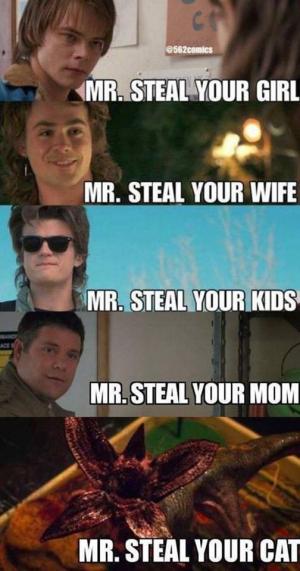 Mr. Steal your girl

Mr. Steal your wife

Mr. Steal your kids

Mr. Steal your mom

Mr. Steal your cat