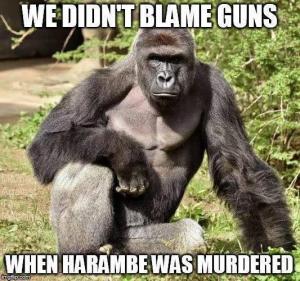 We didn't blame guns

When Harambe was murdered