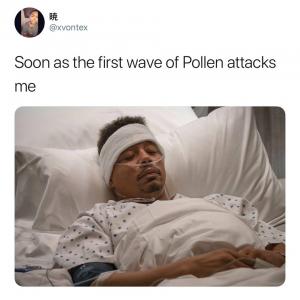 Soon as the first wave of Pollen attacks me