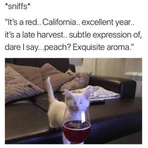 *sniffs*

It's a red.. California.. excellent year.. it's a late harvest.. subtle expression of, dare I say...peach? exquisite aroma."