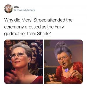 Why did Meryl Streep attend the ceremony dressed as the Fairy godmother from Shrek?