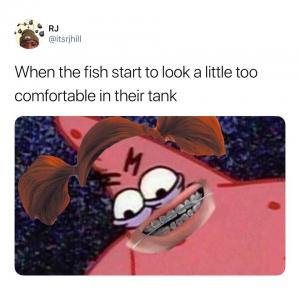 When the fish start to look a little too comfortable in their tank