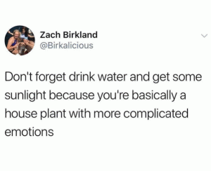 Don't forget drink water and get some sunlight because you're basically a house plant with more complicated emotions
