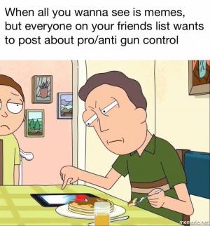 When all you wanna see is memes but everyone on your friends list wants to post about pro/anti gun control
