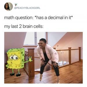 Math question: *has a decimal in it*

My last 2 brain cells:
