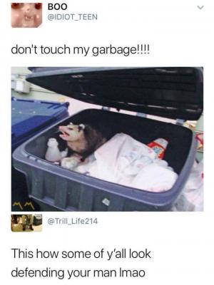 Don't touch my garbage!!!!

This how some of y'all look defending your man lmao