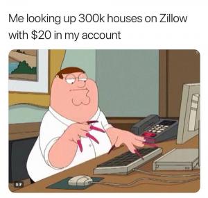 Me looking up 300K houses on Zillow with $20 in my account