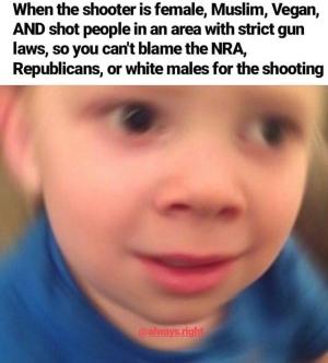 When the shooter is female, Muslim, Vegan, AND shot people in an area with strict gun laws, so you can't blame the NRA, republicans or white males for the shooting