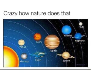 Crazy how nature does that