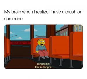 My brain when I realize I have a crush on someone