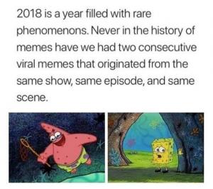 2018 is a year filled with rare phenomenons. Never in the history of memes have we had two consecutive viral memes, that originated from the same show, same episode, and same scene.
