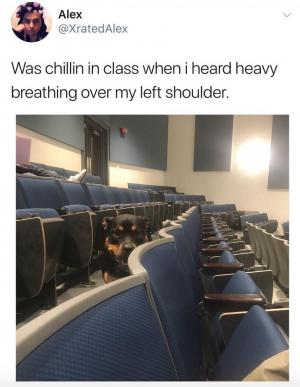 Was chillin in class when I heard a heavy breathing over my left shoulder