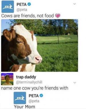 Cows are friends not food

Name one cow you're friends with

Your mom