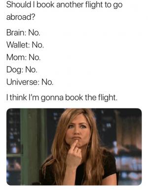Should I book another flight to go abroad?

Brain: No.
Wallet: No.
Mom: No.
Dog: No.
Universe: No.

I think I'm gonna book the flight