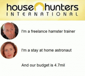 I'm a freelance hamster trainer

I'm a stay at home astronaut

And our budget is 4.7mil