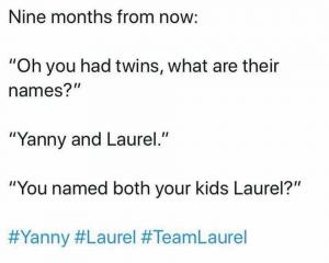 Nine months from now:

"Oh you had twins, what are their names?"

"Yanny and Laurel."

"You named both your kids Laurel?"