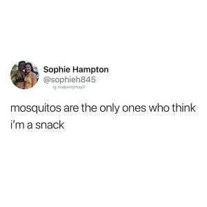 Mosquitos are the only ones who think I'm a snack