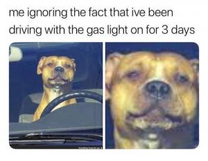 Me ignoring the fact that ive been driving with the gas light on for 3 days