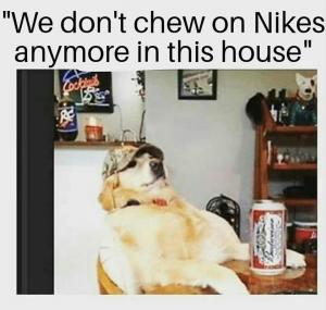 "We don't chew on Nikes anymore in this house"