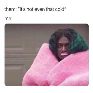 Them: It's not even that cold

Me: