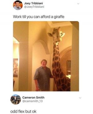 Work till you can afford a giraffe

Odd flex but ok
