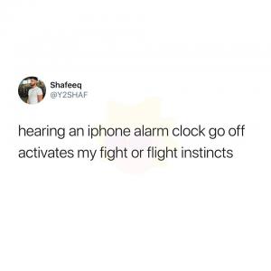Hearing an iPhone alarm clock go off activates my fight or flight instincts 