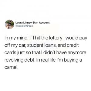 In my mind, if I hit the lottery I would pay off my car, student loans and credit cars just so that I didn't have anymore revolving debt. In real life I'm buying a camel.
