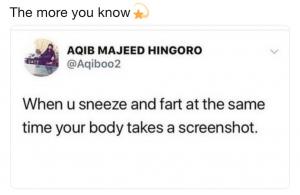 The more you know

When u sneeze and fart at the same time your body takes a screenshot