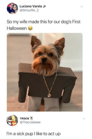 So my wife made this for our dog's First Halloween

I'm a sick pup I like to act up