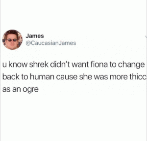 U know Shrek didn't want Fiona to change back to human cause she was more thicc as an orge