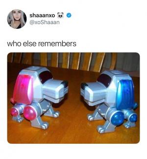 Who else remembers