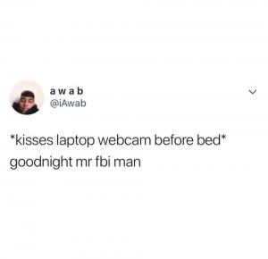 *Kisses laptop webcam before bed*

Goodnight Mr FBI man