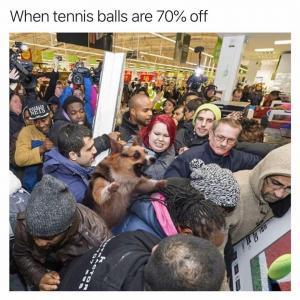When tennis balls are 70% off