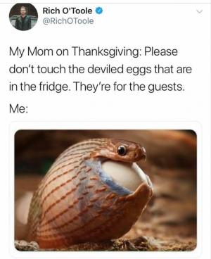 My mom on Thanksgiving: Please don't touch the deviled eggs that are in the fridge. They're for the guests.

Me: