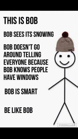 This is Bob

Bob  sees its snowing

Bob doesn't go around telling everyone because bob knows people have windows

Bob is smart

Be like Bob