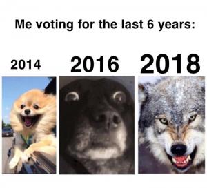 Me voting for the last 6 years:

2014

2016

2018