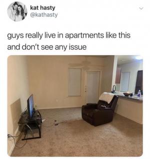 Guys really live in apartments like this and don't see any issue